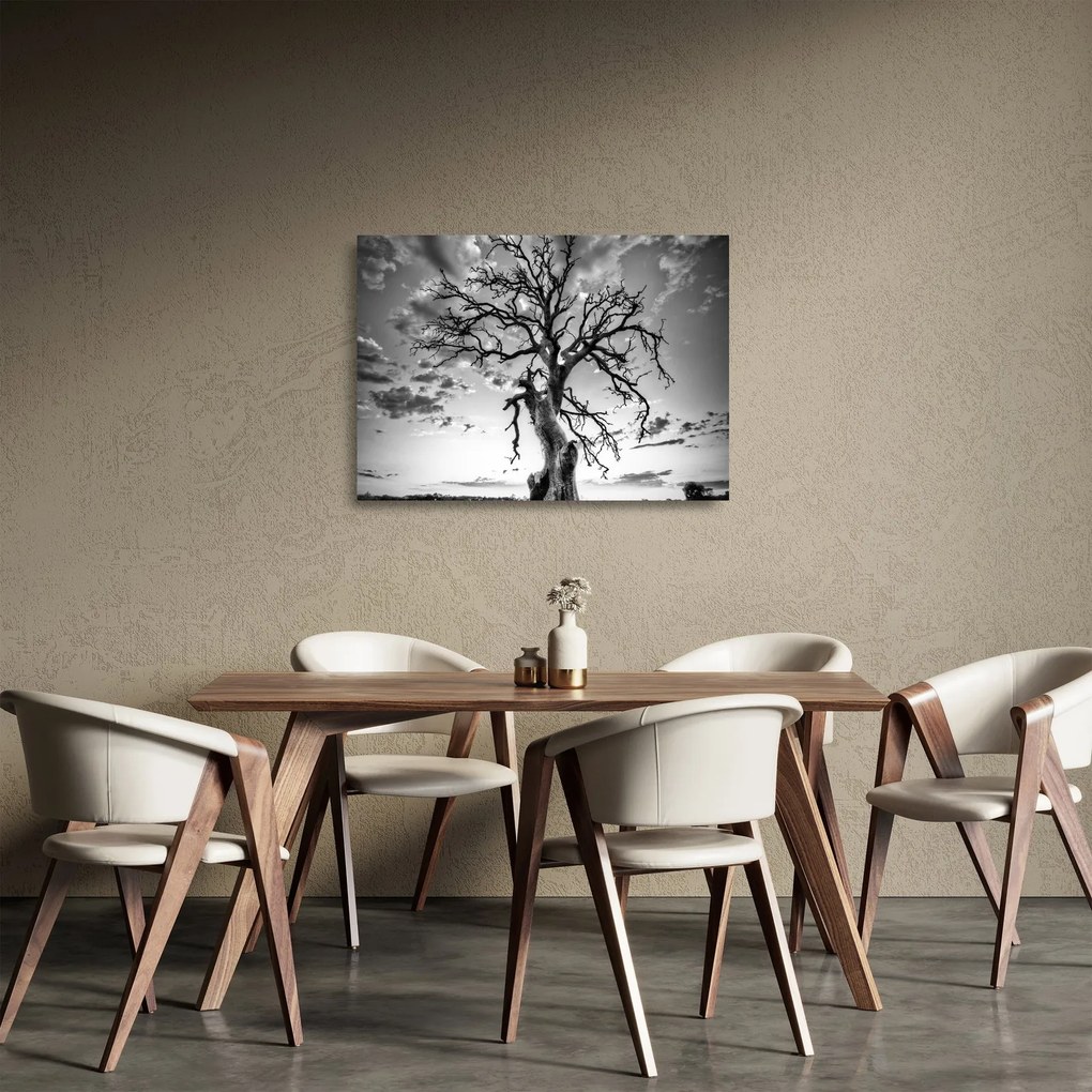 Tablou pe sticlă - Copacul, alb-negru (70x50 cm)