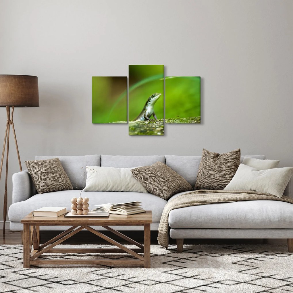 Tablou cu șopârlă (90x60 cm)