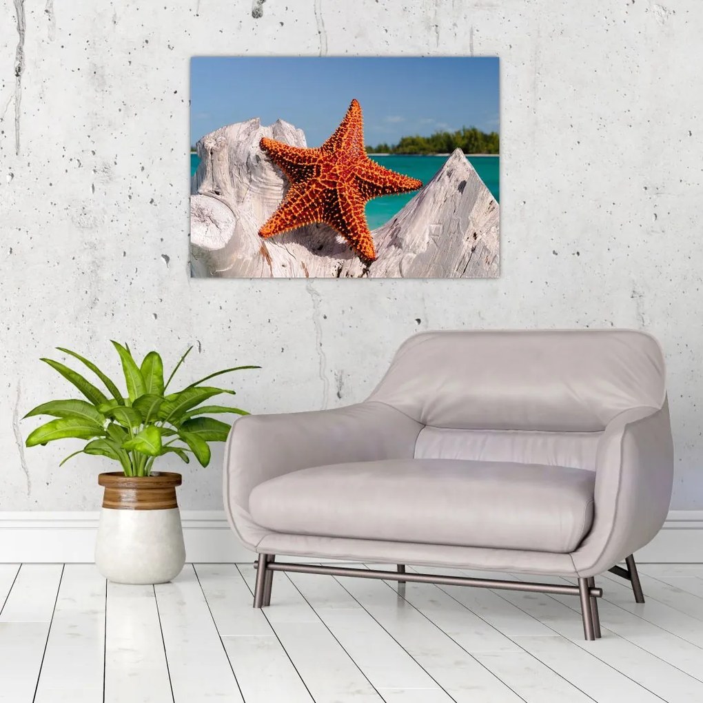 Tablou pe sticlă cu stea de mare (70x50 cm)
