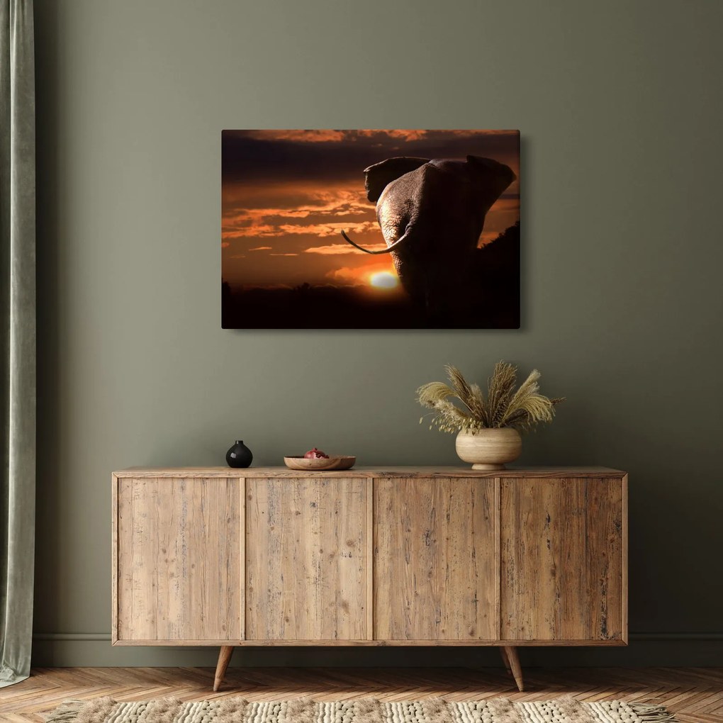 Tablou cu elefant (90x60 cm)