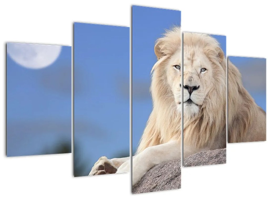 Tablou - Leu alb (150x105 cm)