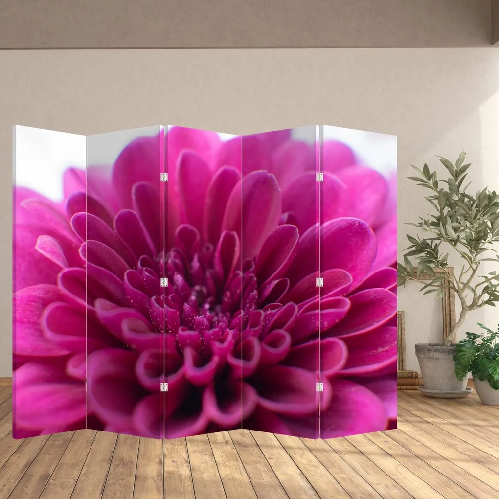 Paravan - Floare (210x170 cm)