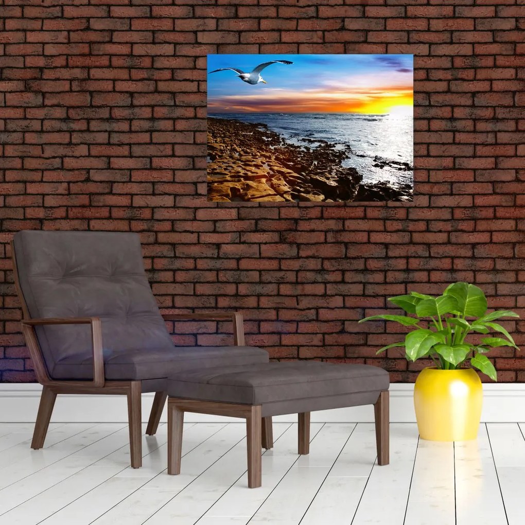 Tablou pe sticlă - Pescărușul zboară deasupra coastei (70x50 cm)