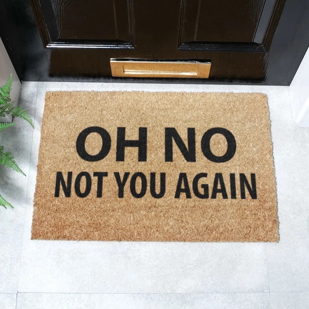 Covoraș de intrare din fibre de nucă de cocos 40x60 cm Not You Again – Artsy Doormats