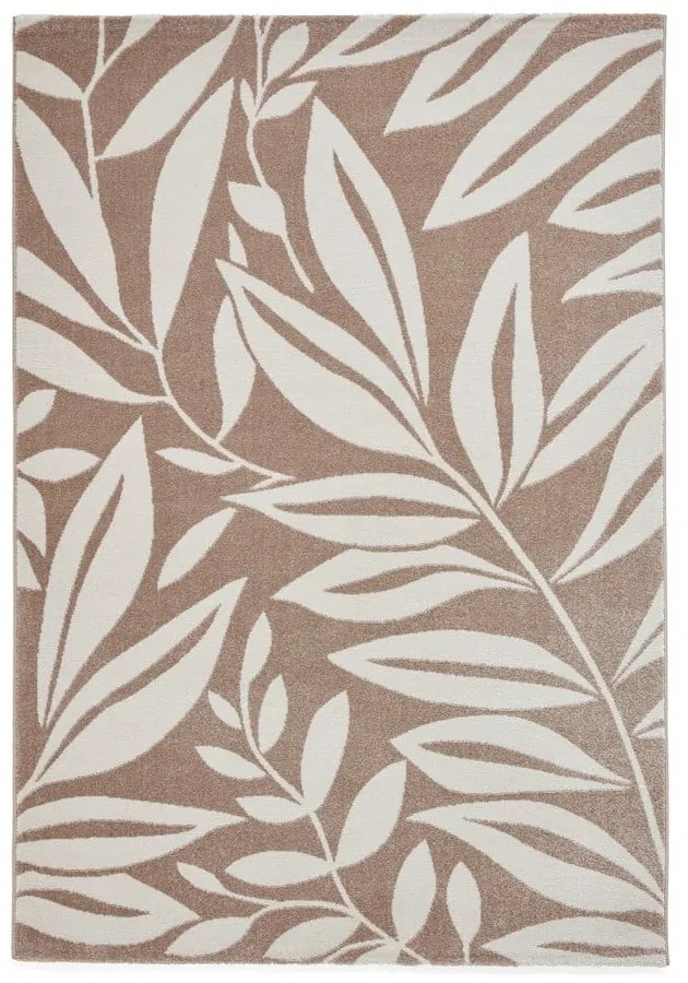 Covor maro deschis 120x170 cm Sorral Leaves – Catherine Lansfield