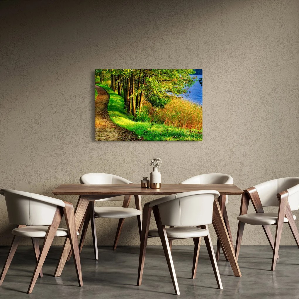 Tablou - poteci pe malul apei (90x60 cm)
