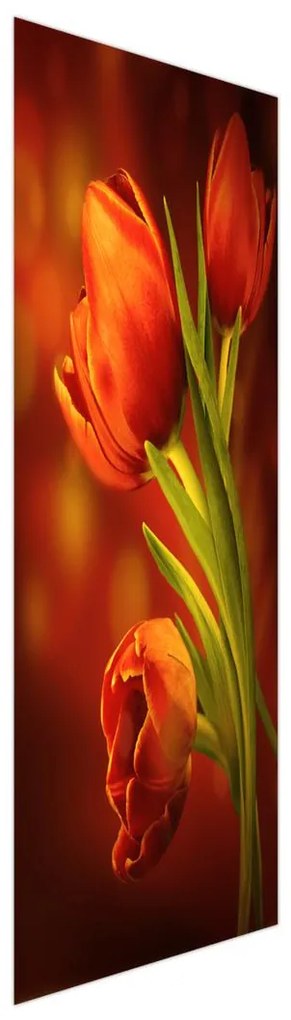 Fotojaluzele R013381R57150 (57x150 cm)