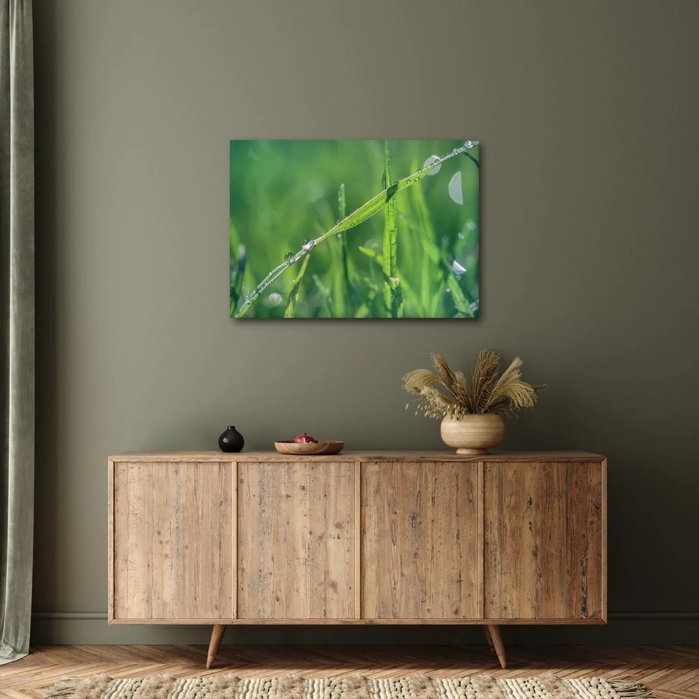 Tablou cu picături de rouă (70x50 cm)