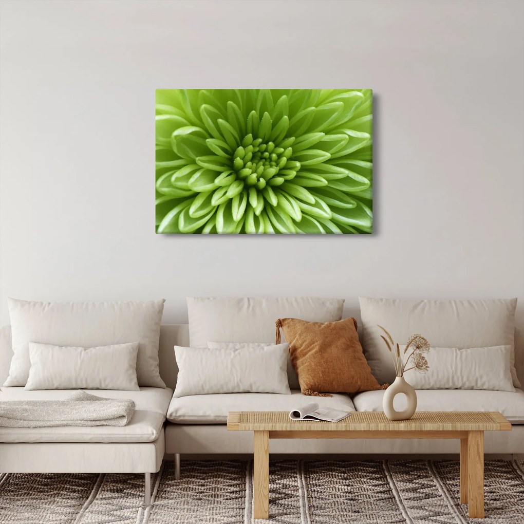 Tablou - Imagine macro a unei plante (90x60 cm)