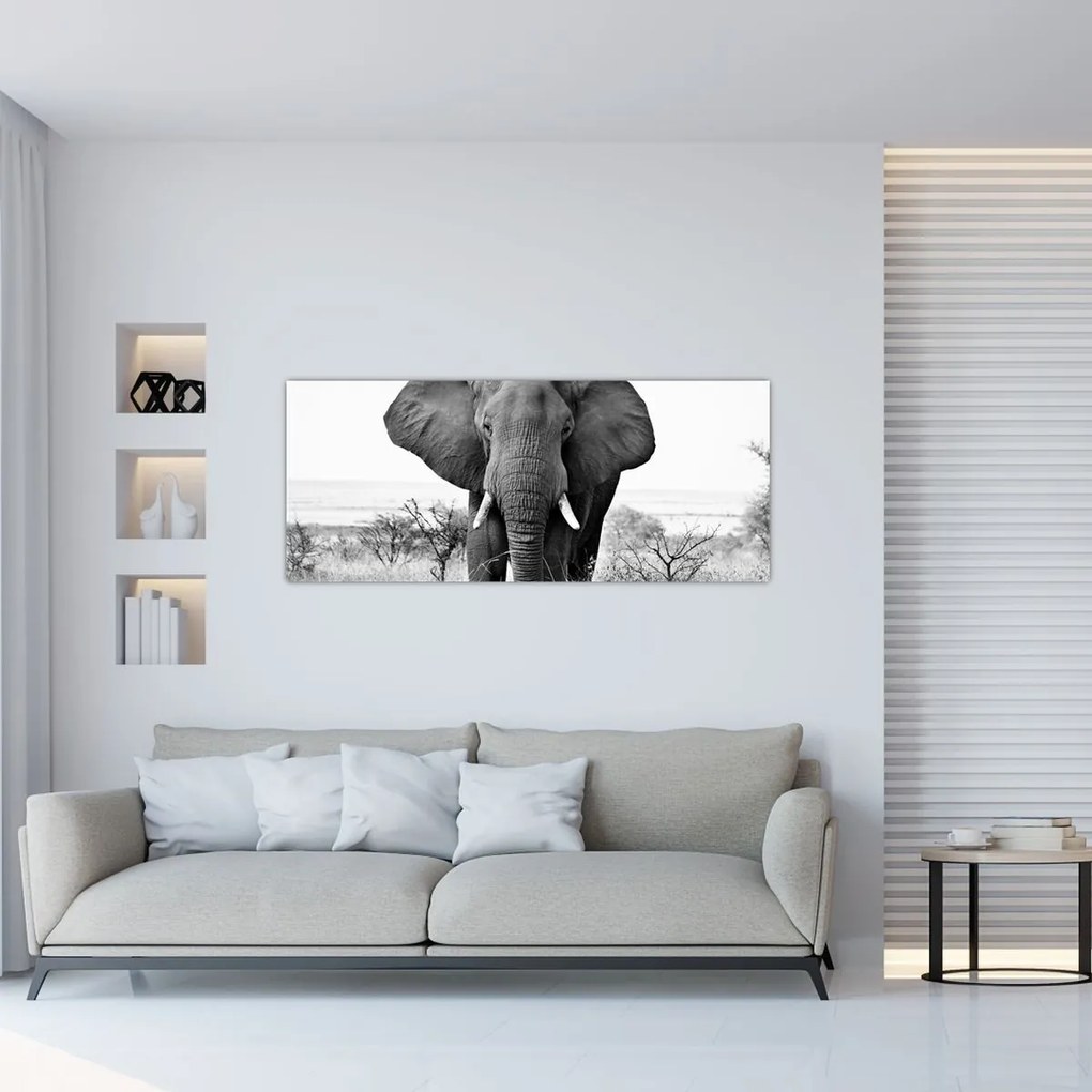 Tablou - Elefantul african II. (120x50 cm)