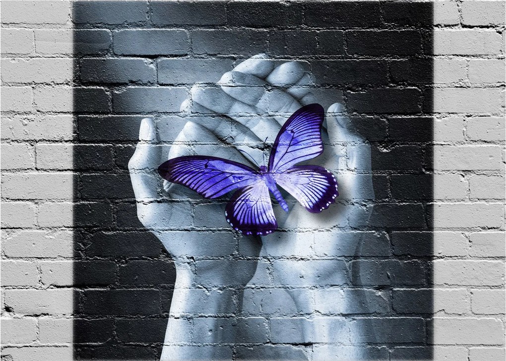 Tablou - Fluture violet pe perete (70x50 cm)