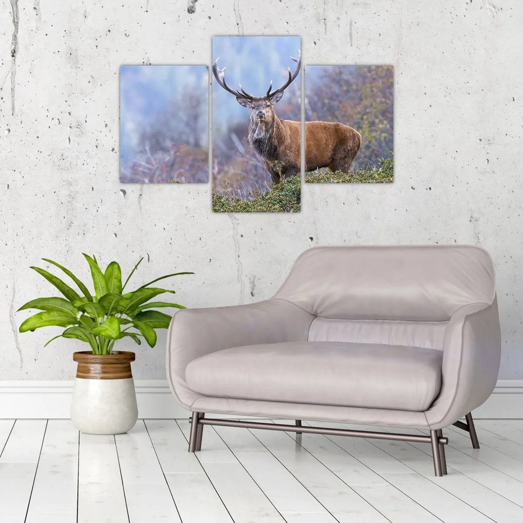 Tablou - Cerb în peisaj (90x60 cm)