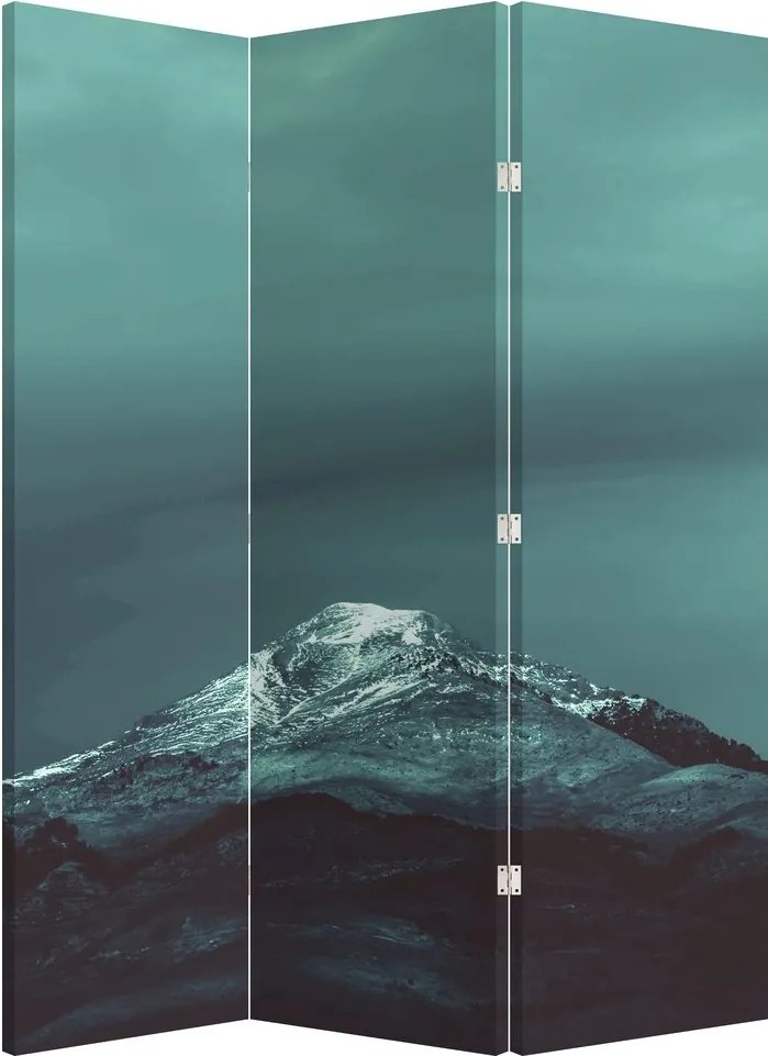 Paravan - Munți (126x170 cm)