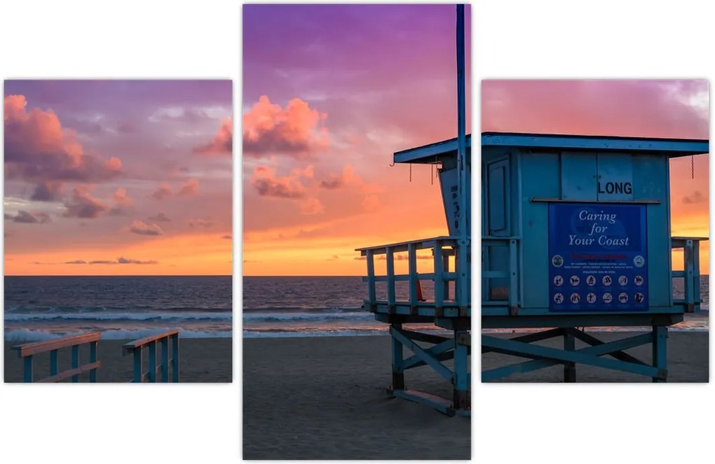 Tablou de pe plaja Santa Monica (90x60 cm)