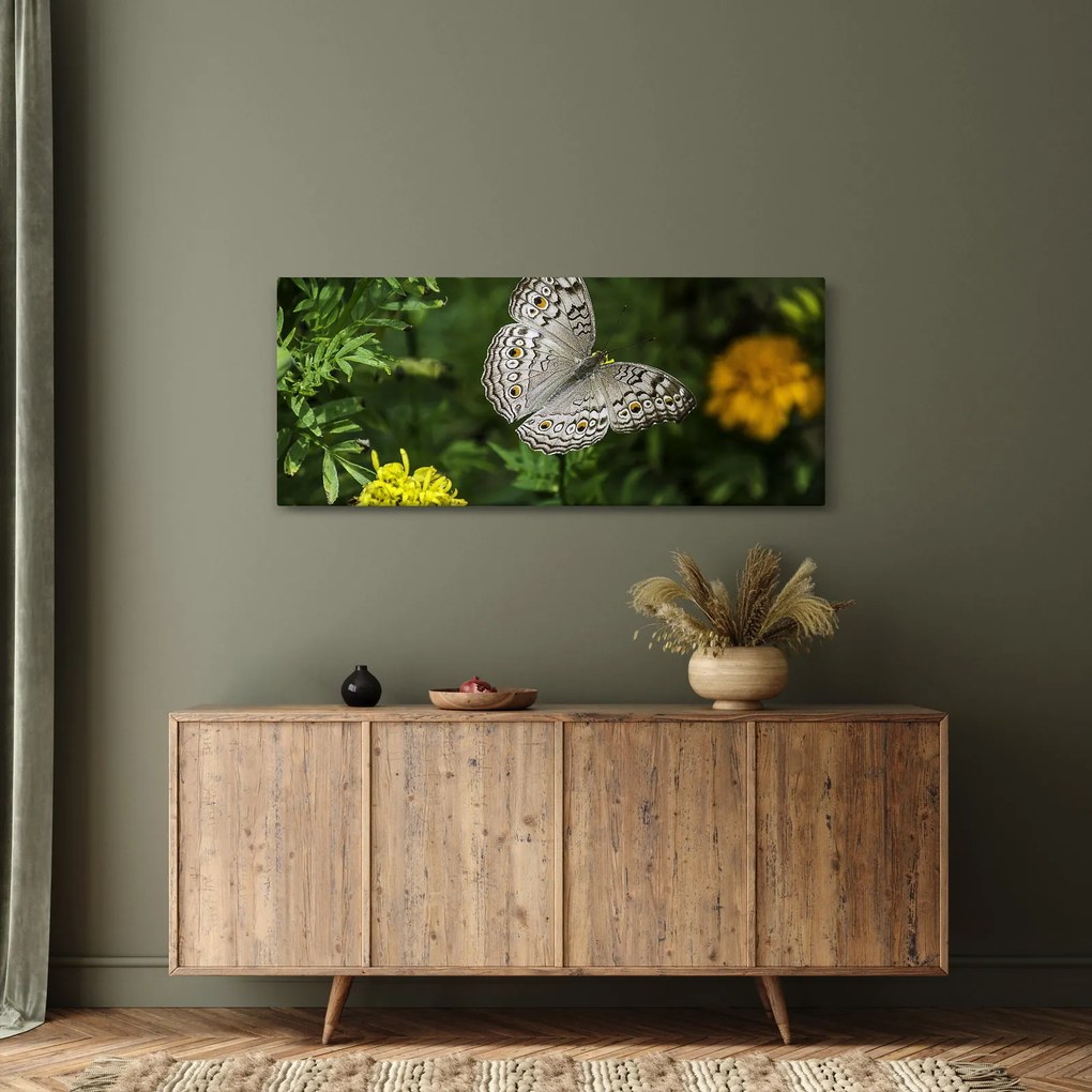 Tablou - fluture alb (120x50 cm)