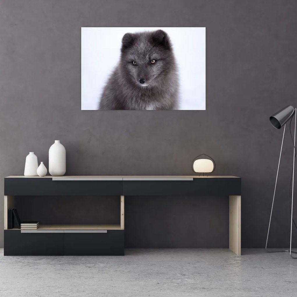 Tablou cu vulpe polară (90x60 cm)
