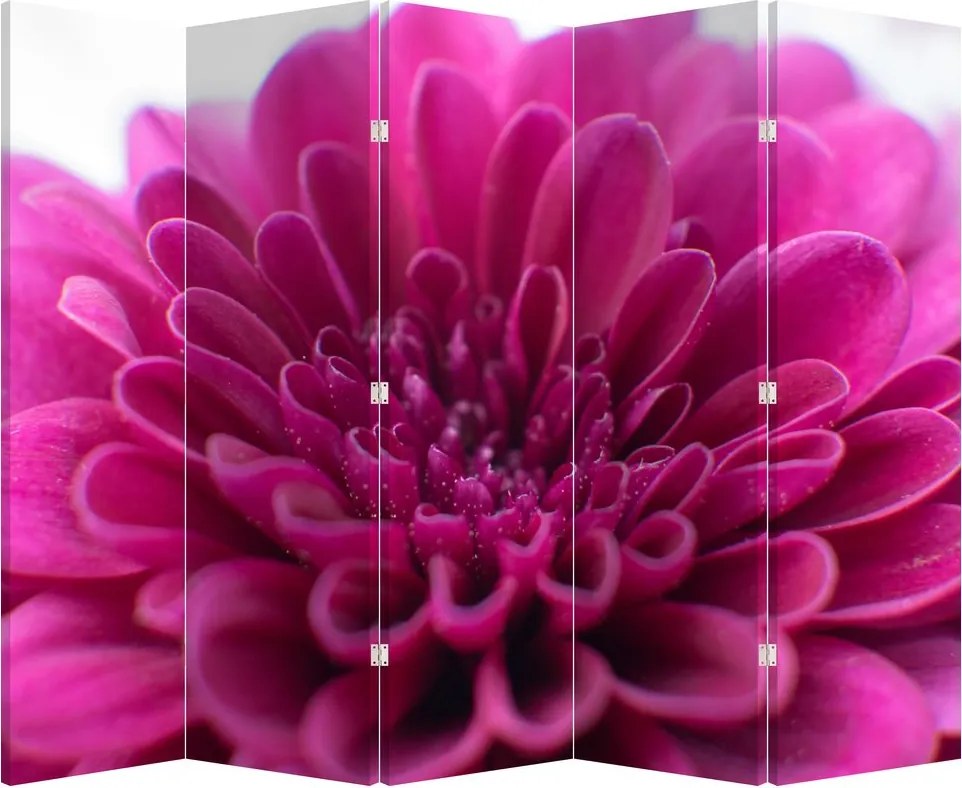 Paravan - Floare (210x170 cm)