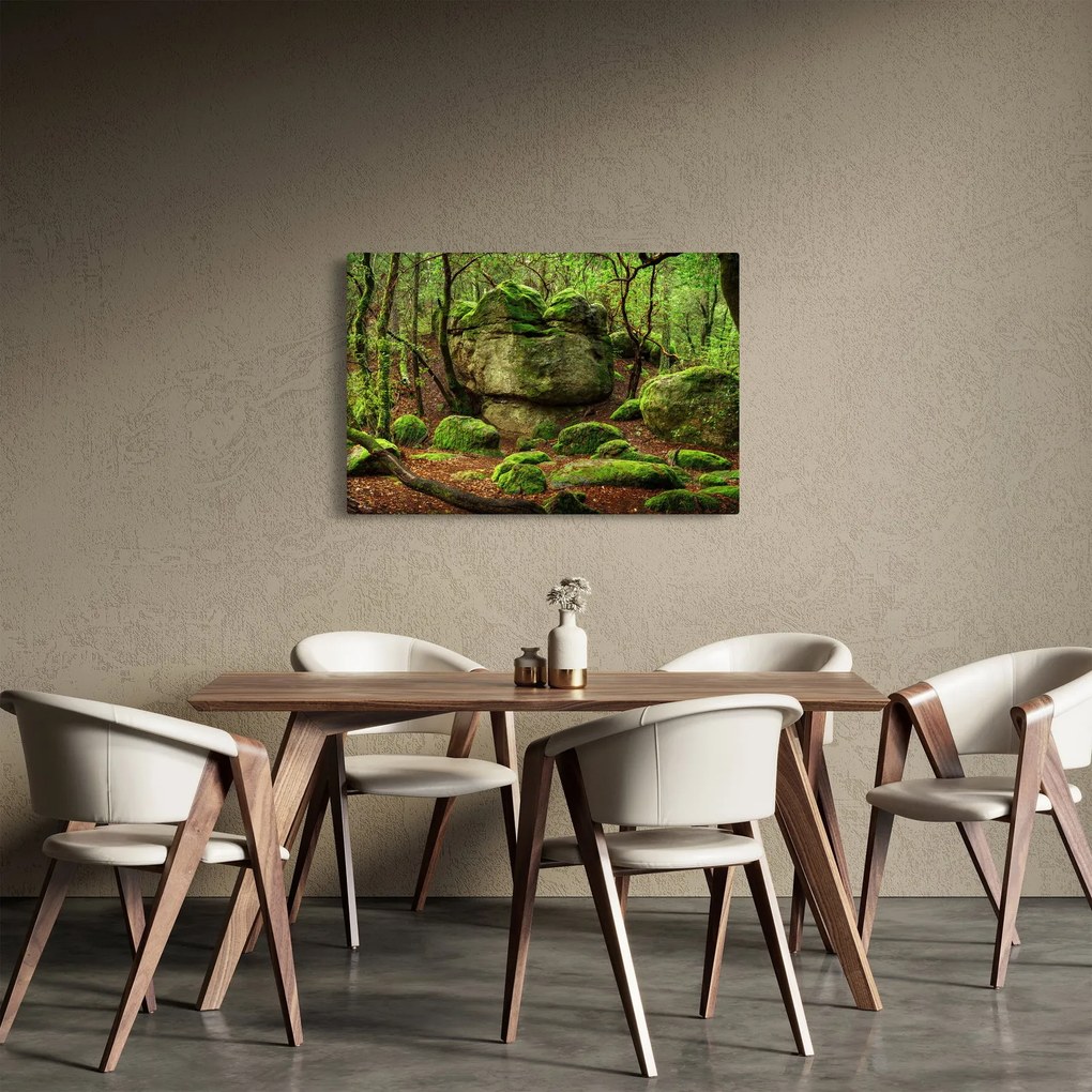 Tablou cu pădurea fermecată (90x60 cm)