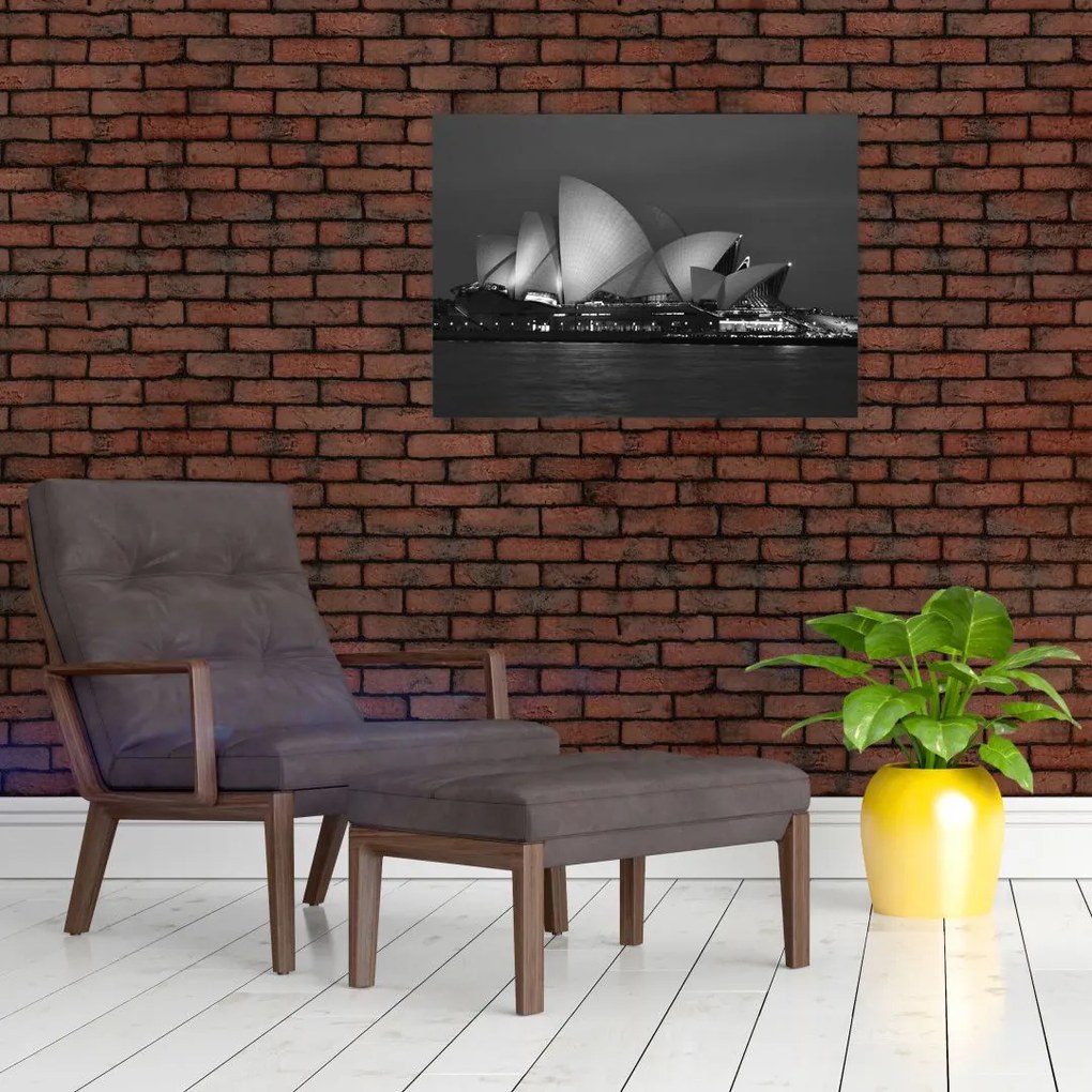Tablou cu Opera din Sydney (70x50 cm)