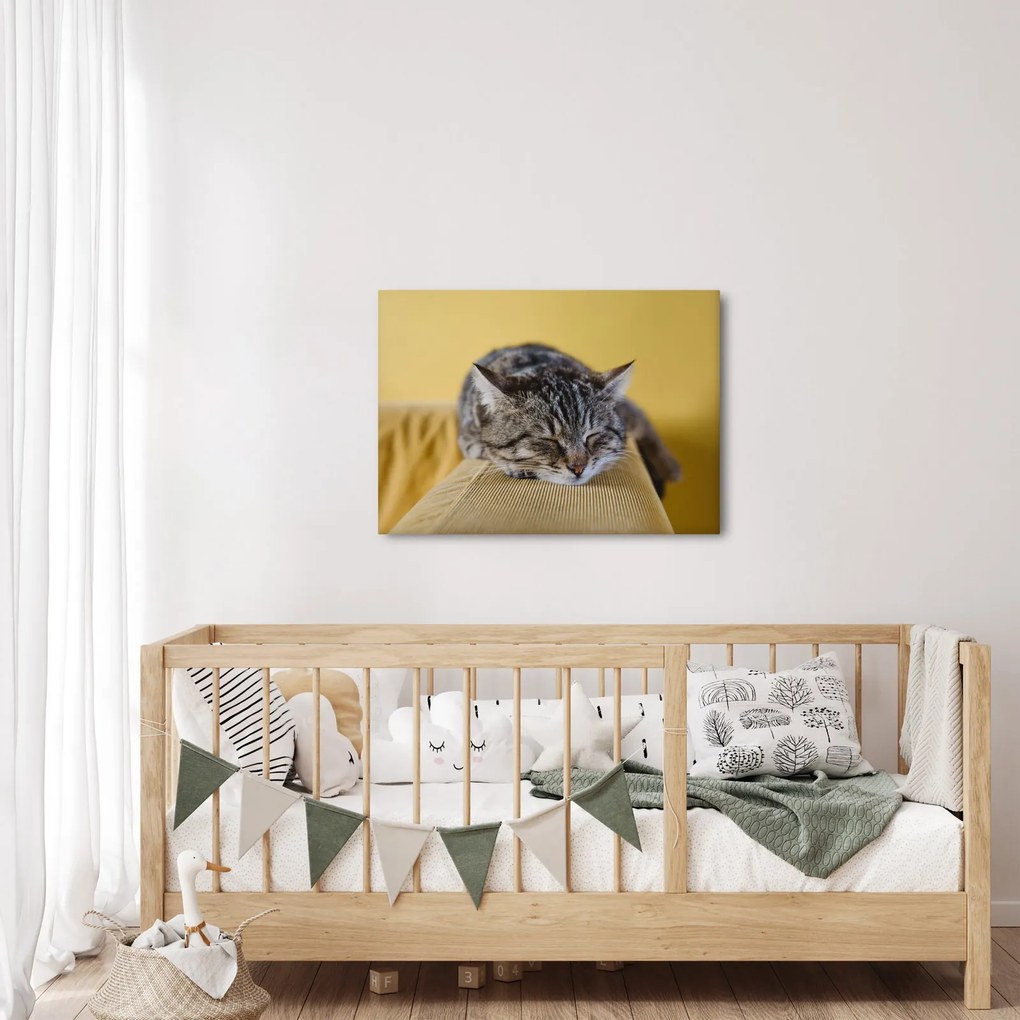 Tablou cu pisica pe fotoliu (70x50 cm)