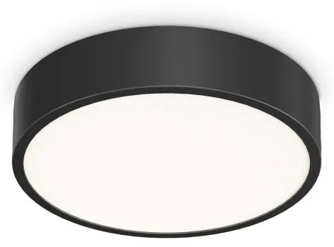 Plafoniera LED pentru baie IP44 Ray pl d30 neagra