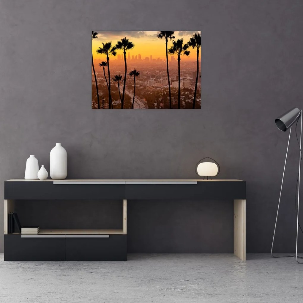Tablou - Panorama din Los Angeles (70x50 cm)