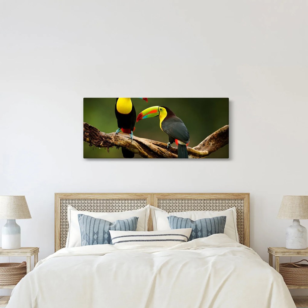 Tablou tucani sezând , Costa Rica (120x50 cm)