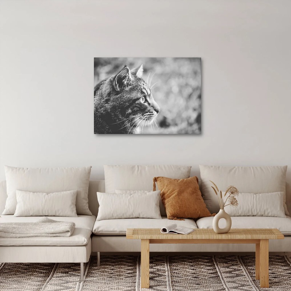 Tablou - Pisica (70x50 cm)