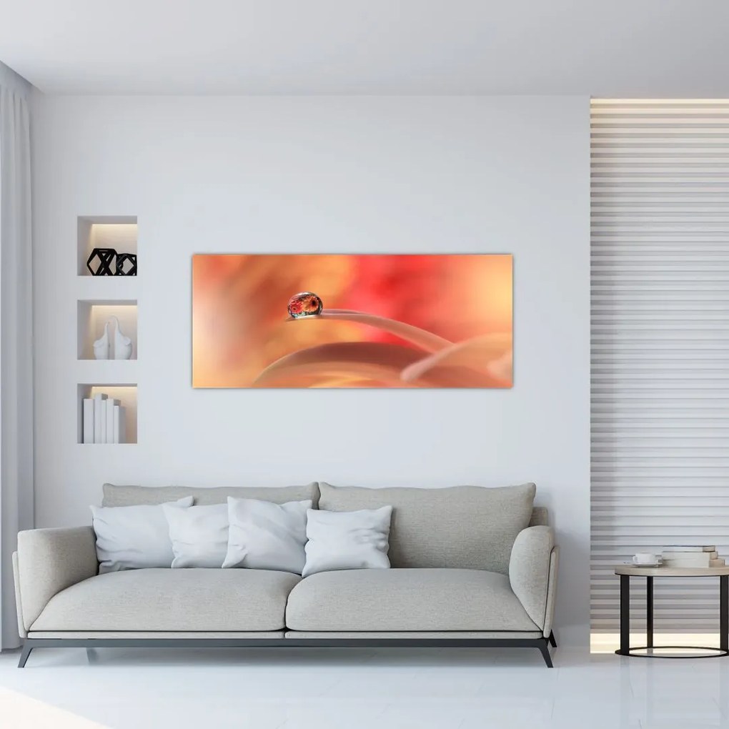 Tablou picăturii de rouă pe floare (120x50 cm)