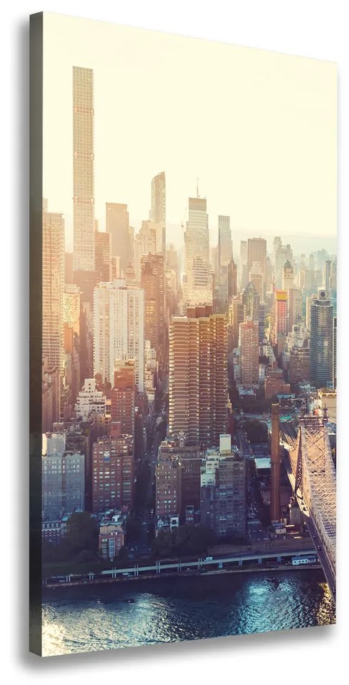 Tablou pe pânză New York pasăre de zbor