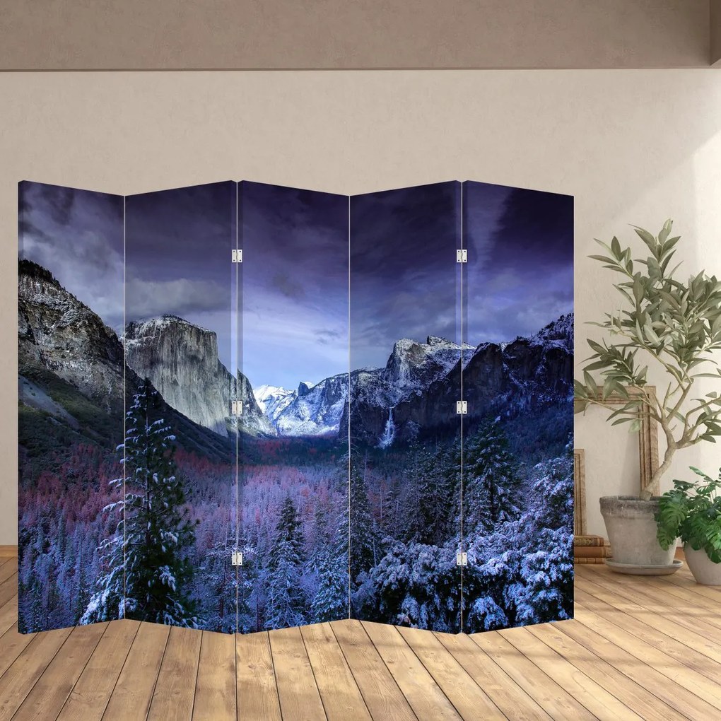 Paravan - Peisaj montan iarna (210x170 cm)