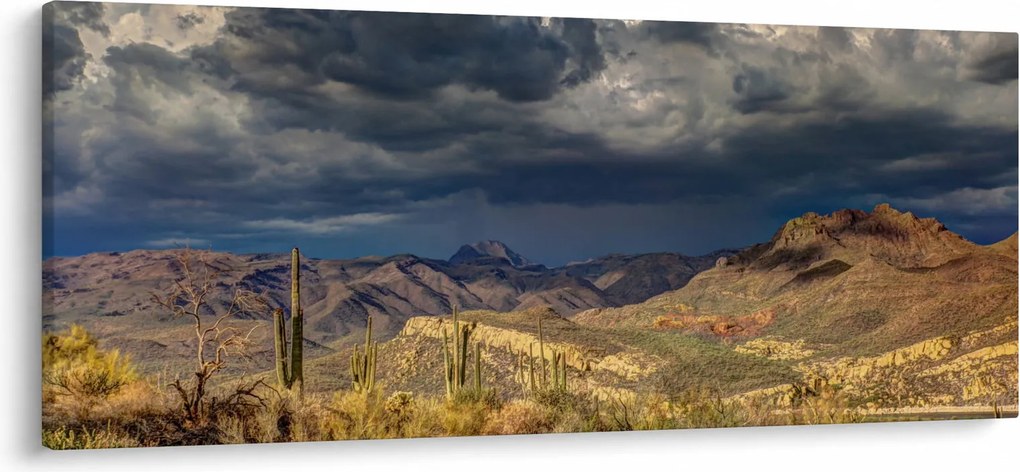 Tablou - cactușii în natură (120x50 cm)