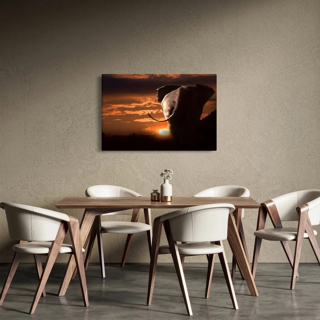 Tablou cu elefant (90x60 cm)