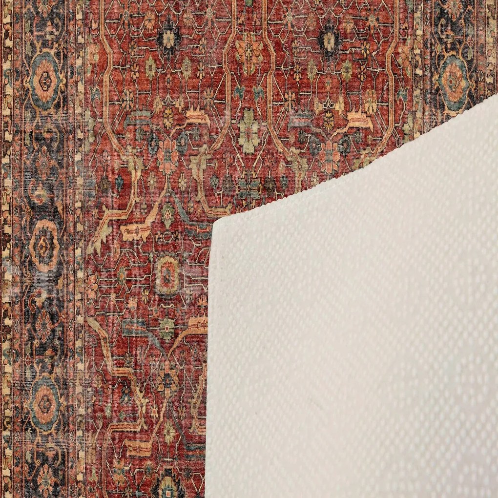 Covor, Eexfab449, 80x300 cm, Multicolor