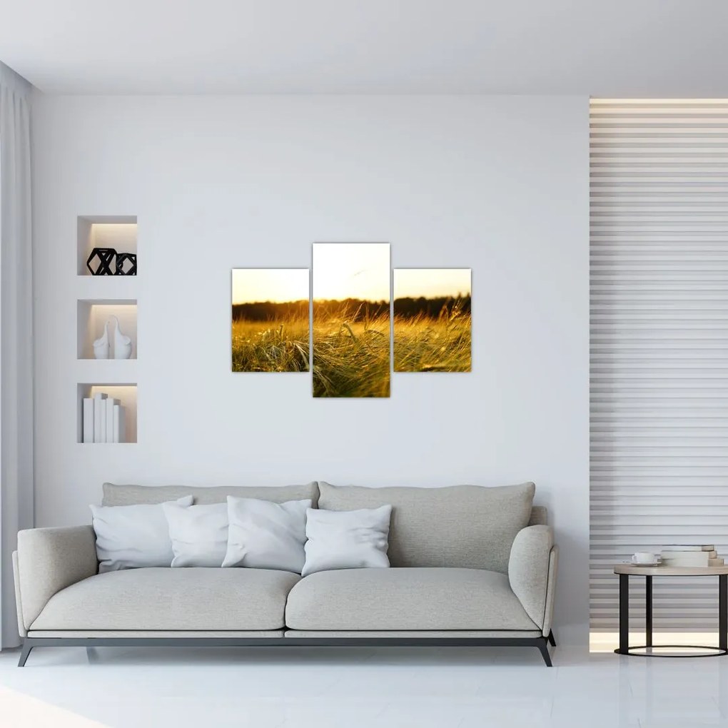 Tablou iarba cu rouă (90x60 cm)