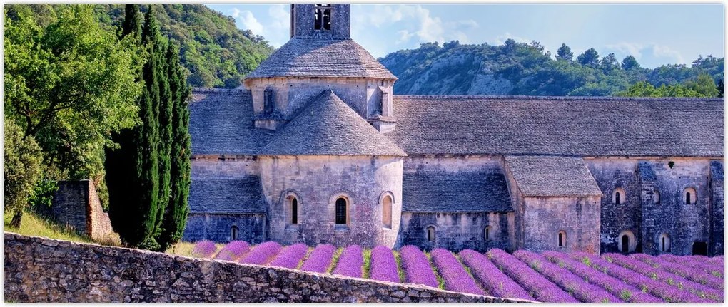 Tablou - Câmp de lavandă (120x50 cm)