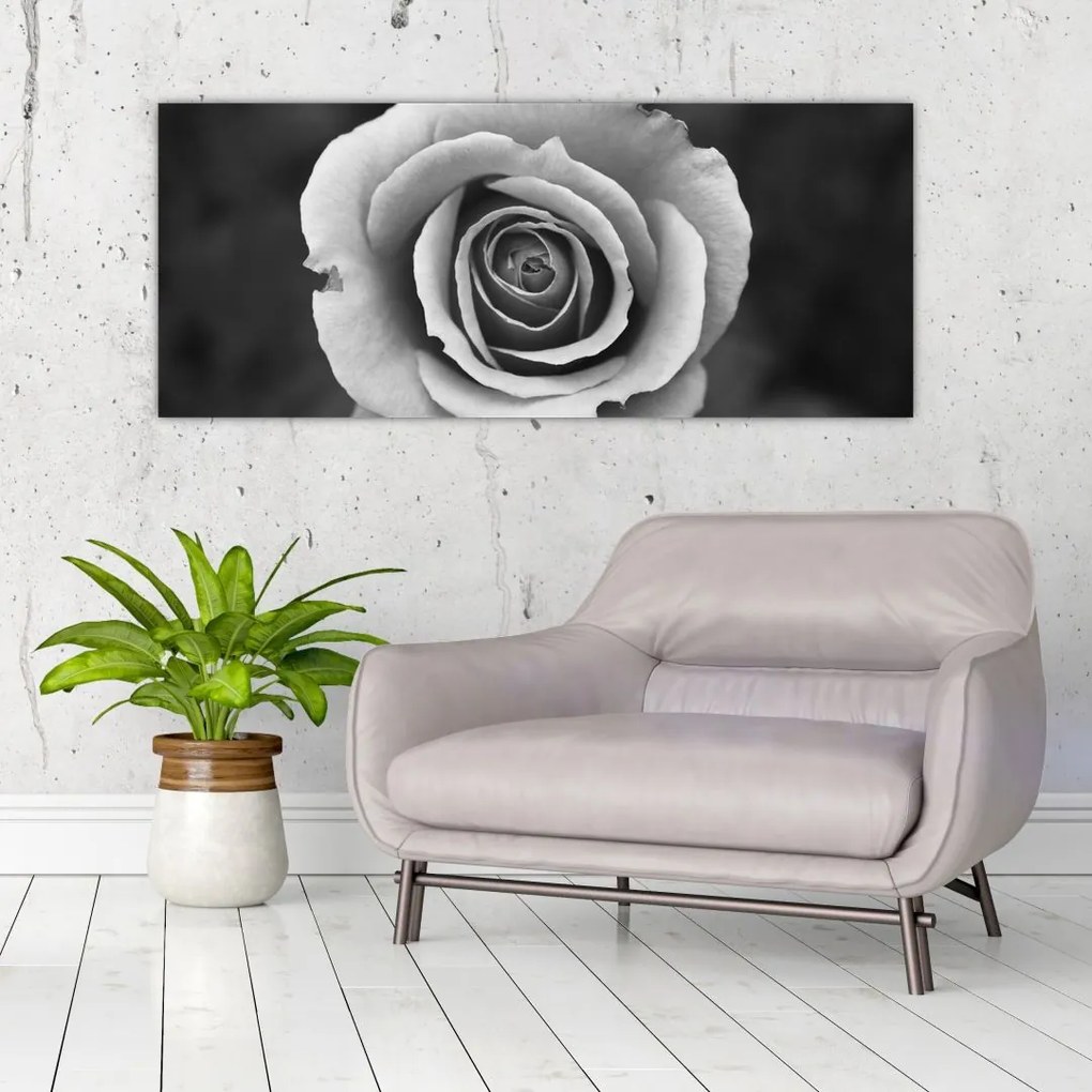 Tablou - Trandafir (120x50 cm)