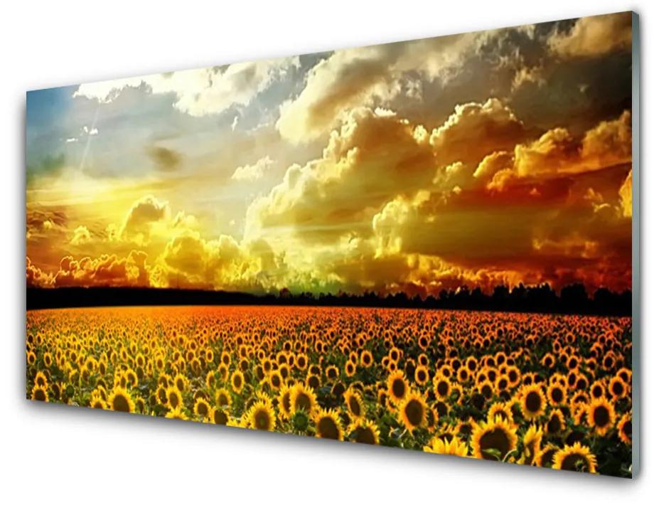 Tablouri acrilice Meadow Sunflowers Floral Galben Maro
