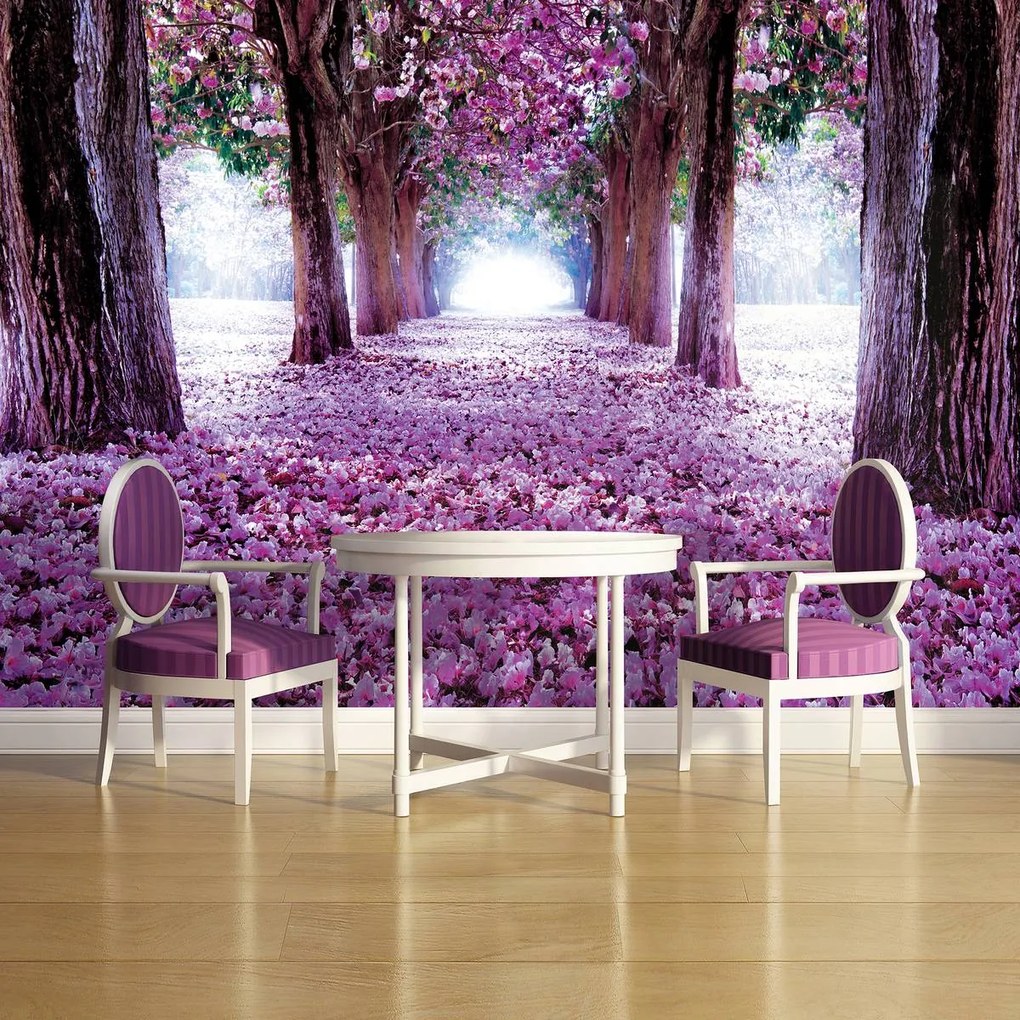 Fototapet - Alee (152,5x104 cm)