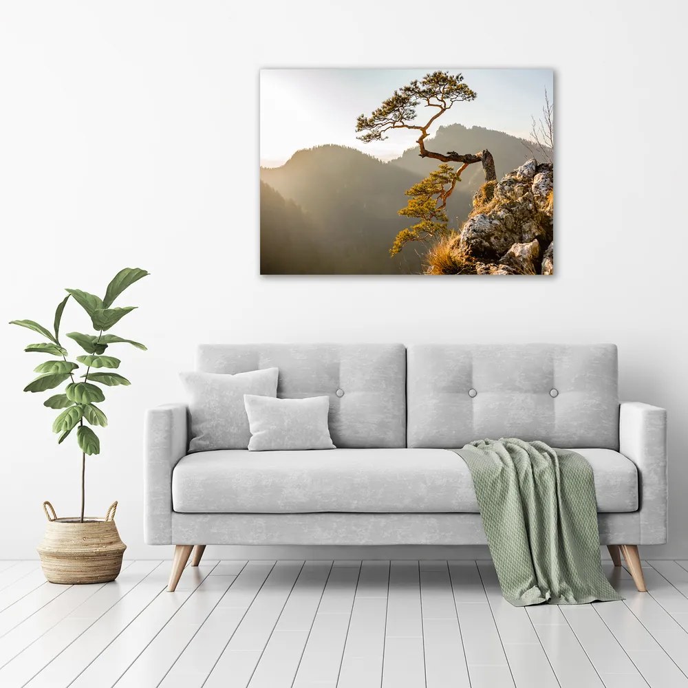 Imprimare tablou canvas Pieniny sokolica