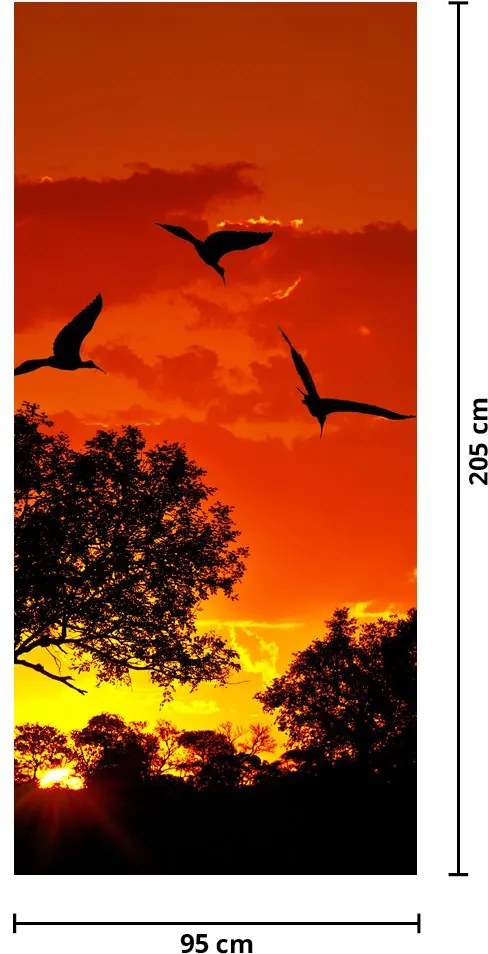 Fototapet pentru ușă - Păsări la apus de soare (95x205cm)