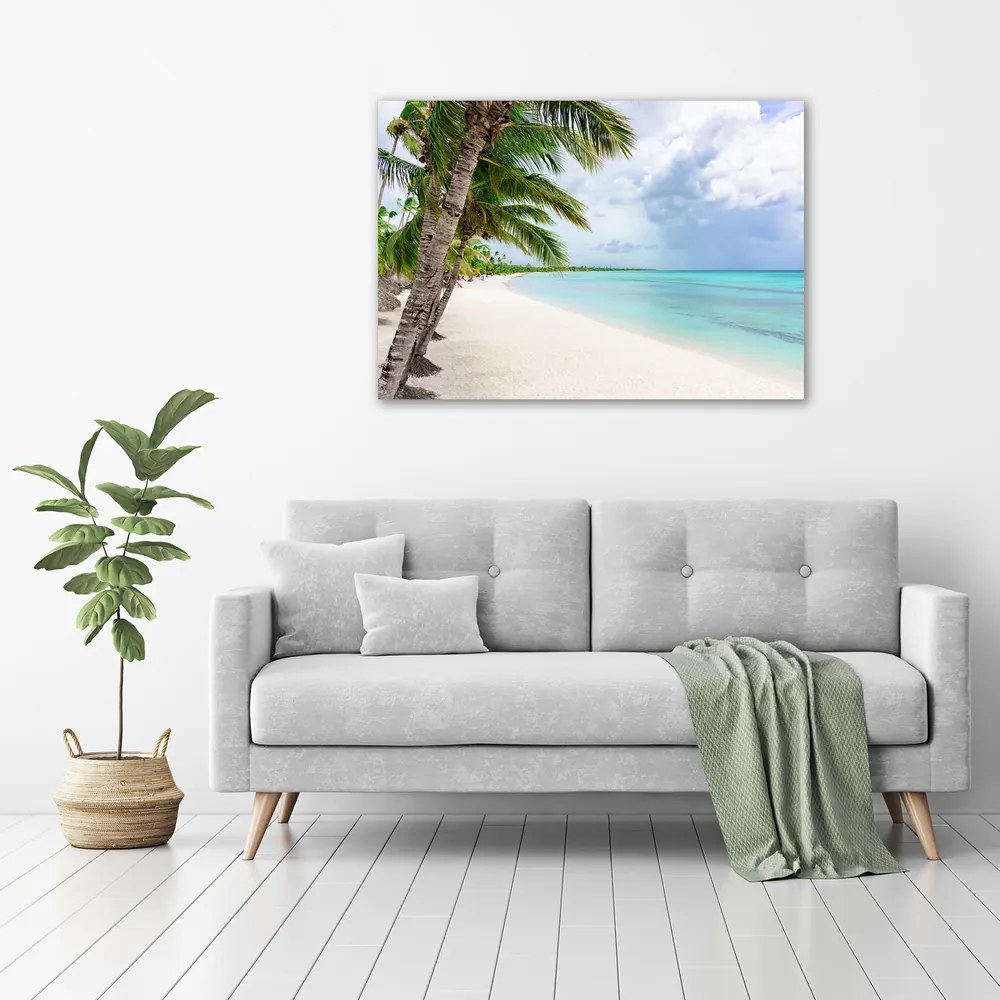 Print pe pânză Plaja tropicala