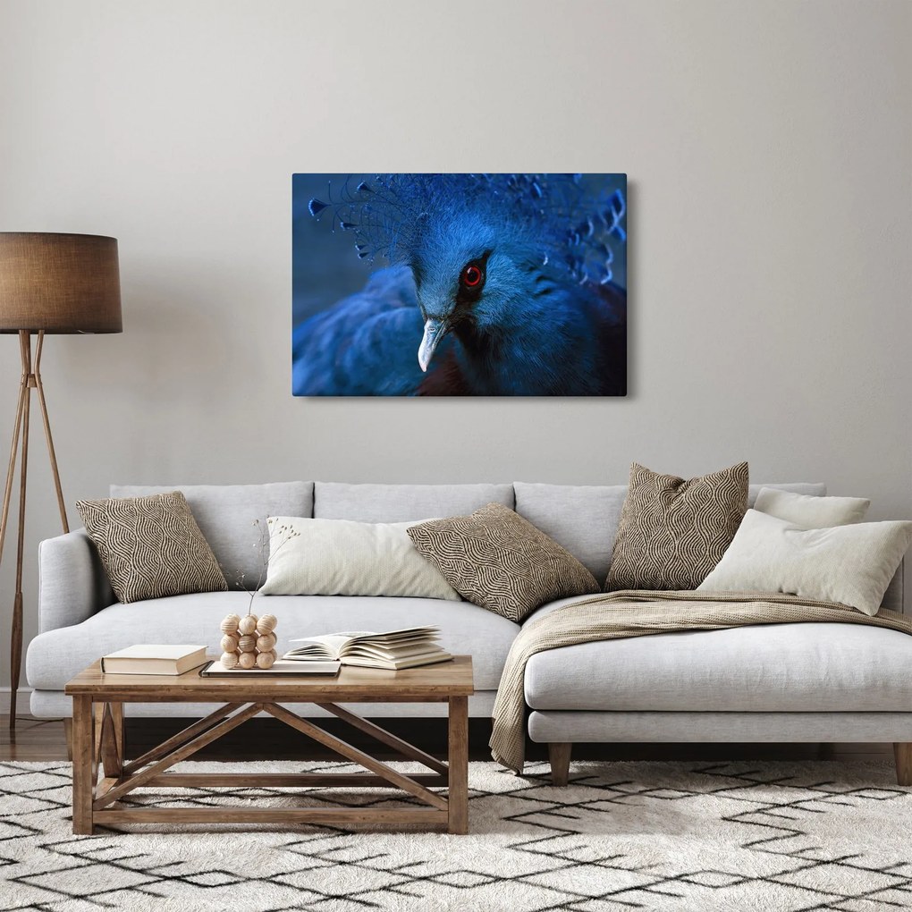 Tablou - Porumbel încoronat (90x60 cm)