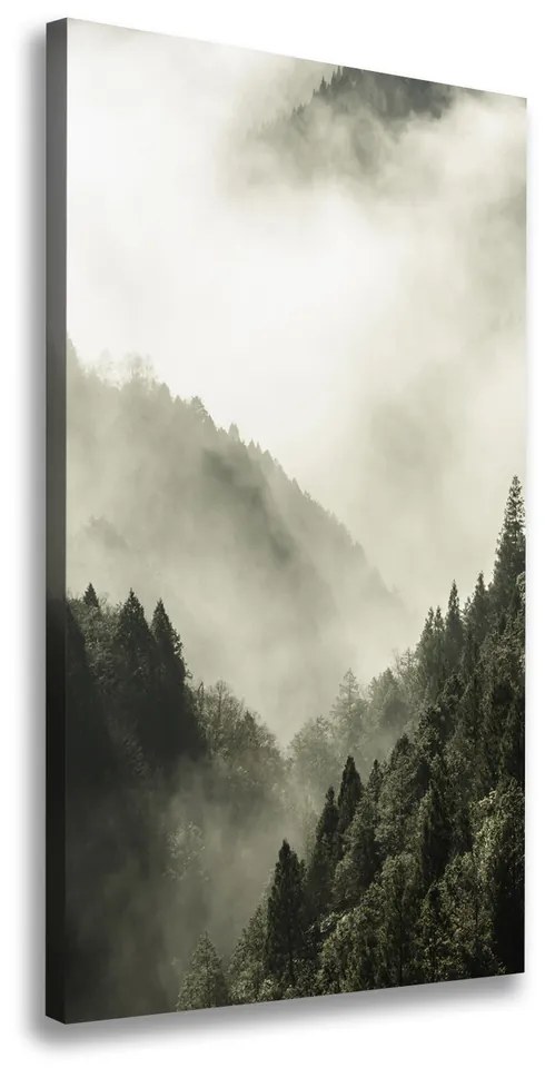 Tablou pe pânză canvas Ceață peste pădure
