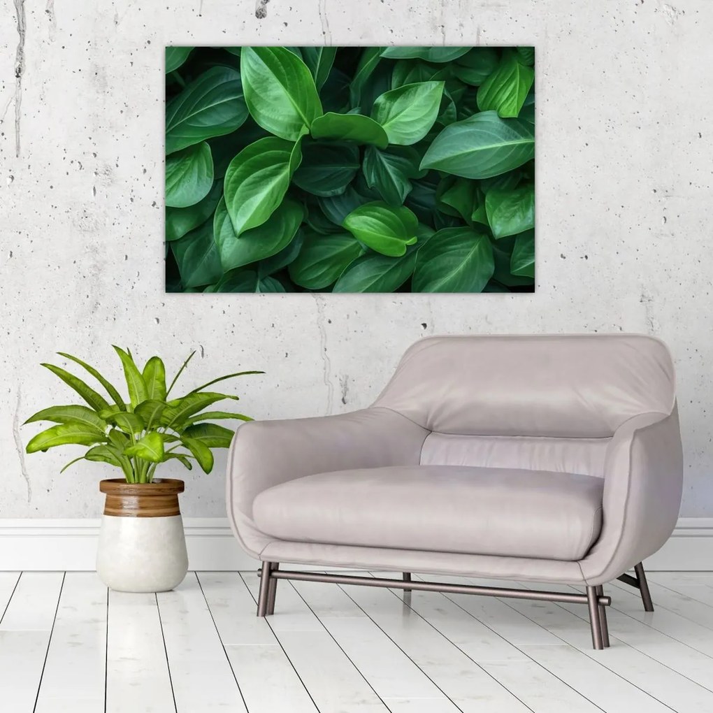 Tablou - Frunze verzi (90x60 cm)