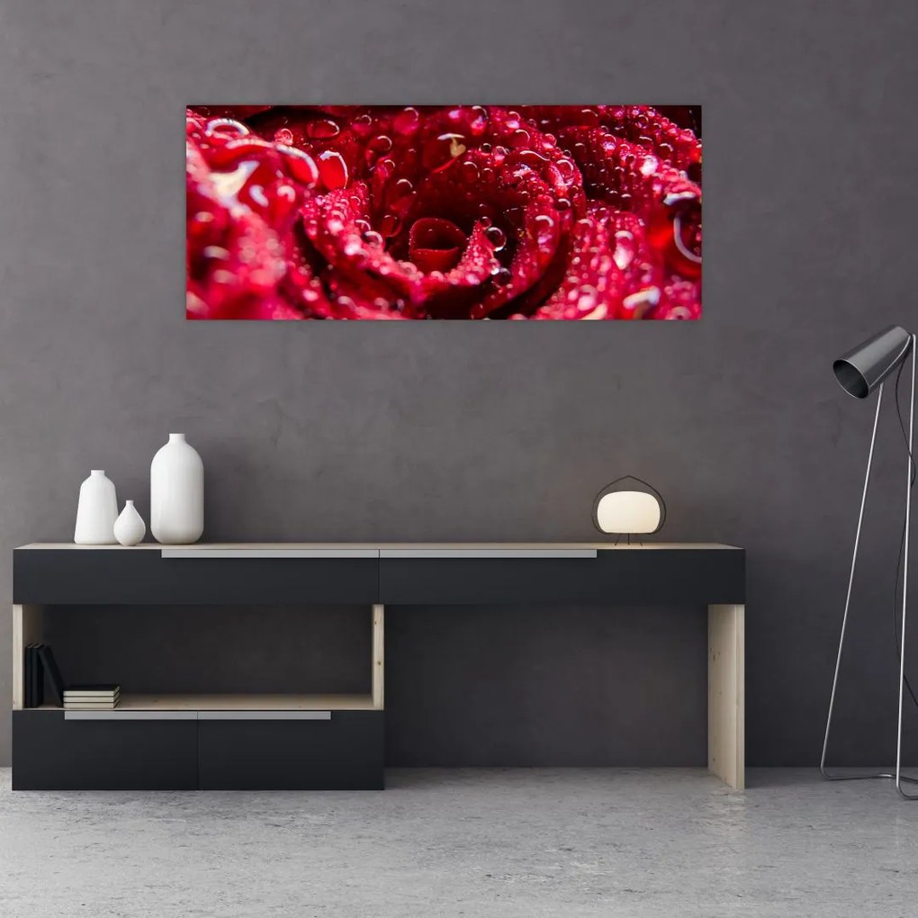 Tablou cu floarea trandafirului roșu (120x50 cm)