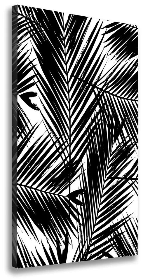Print pe pânză Frunze de palmier