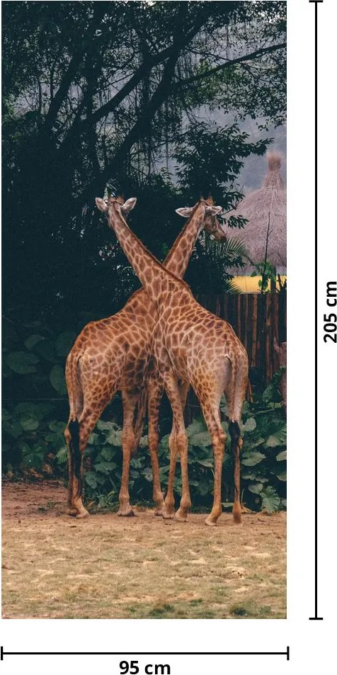 Fototapet pentru ușă - Două girafe (95x205cm)