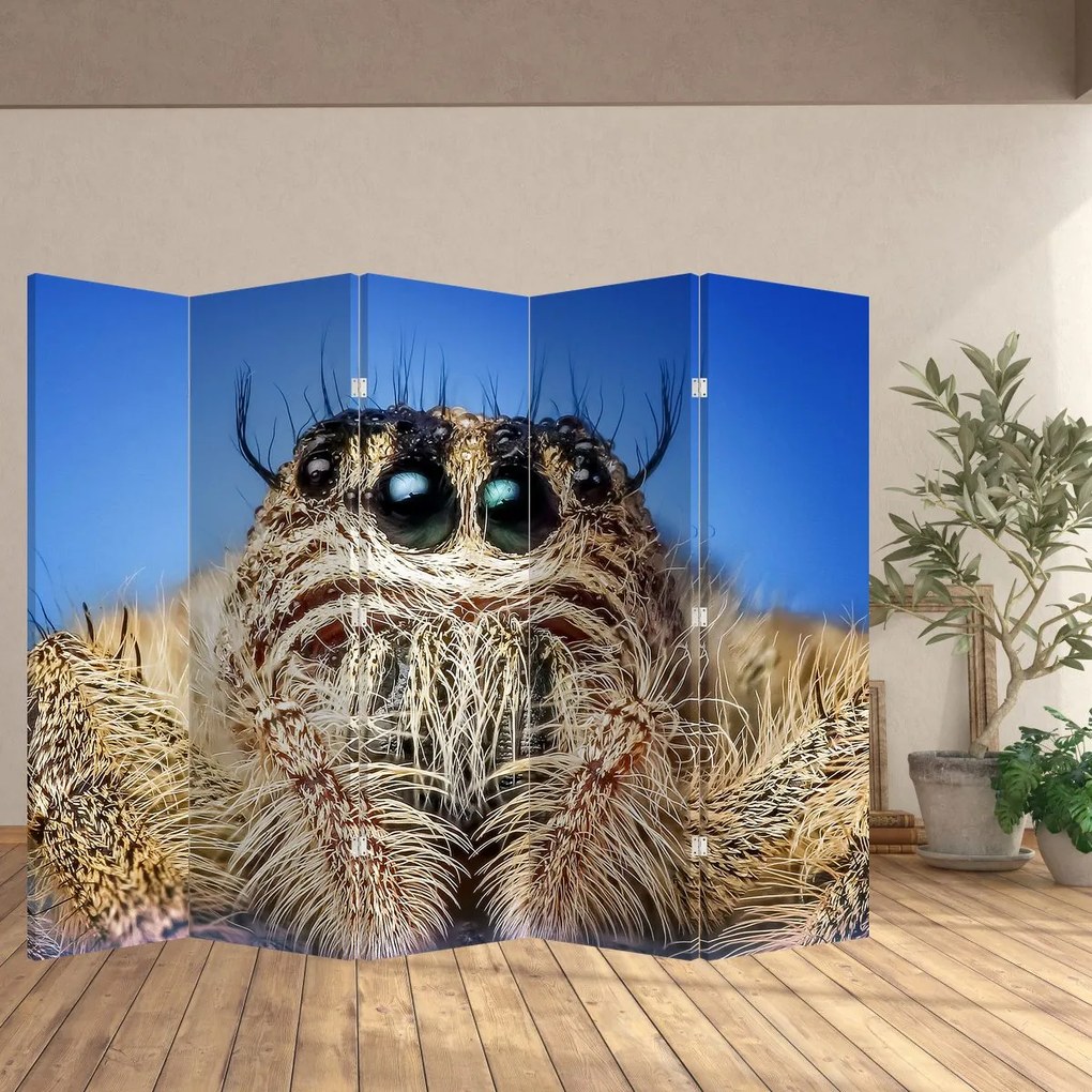 Paravan - Detalii a unui pâianjen (210x170 cm)