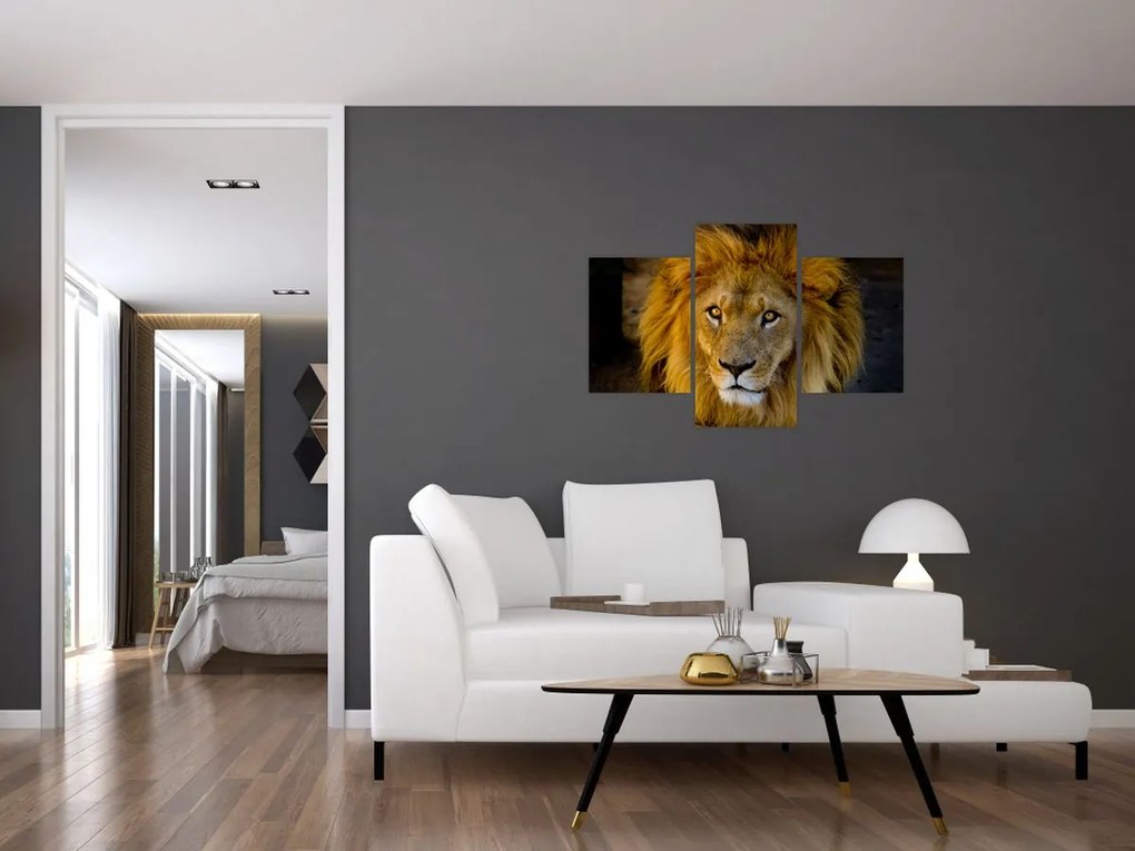 Tablou - Portret de leu (90x60 cm)